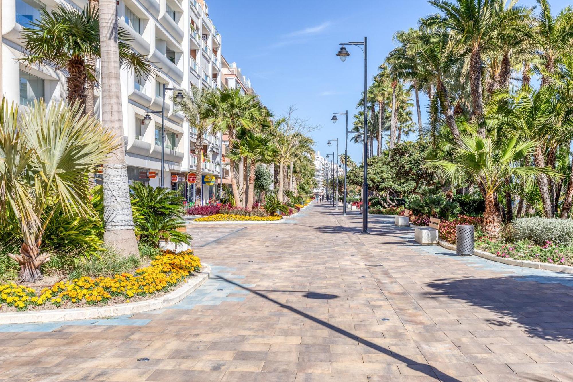 Hanami Plaza Abc إِستيبونا المظهر الخارجي الصورة